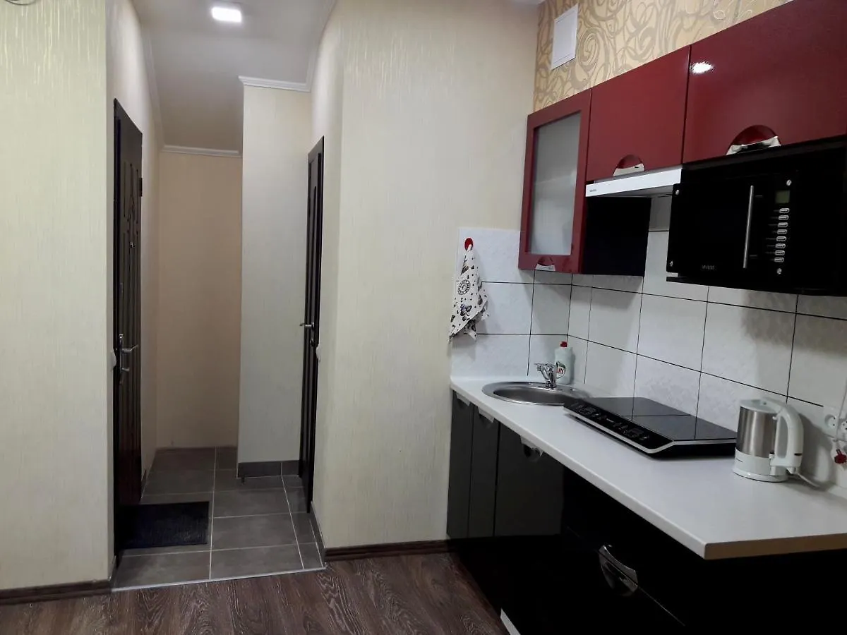 Studio Apartment: Central Station Vicinity on Horodotska Street Lviv