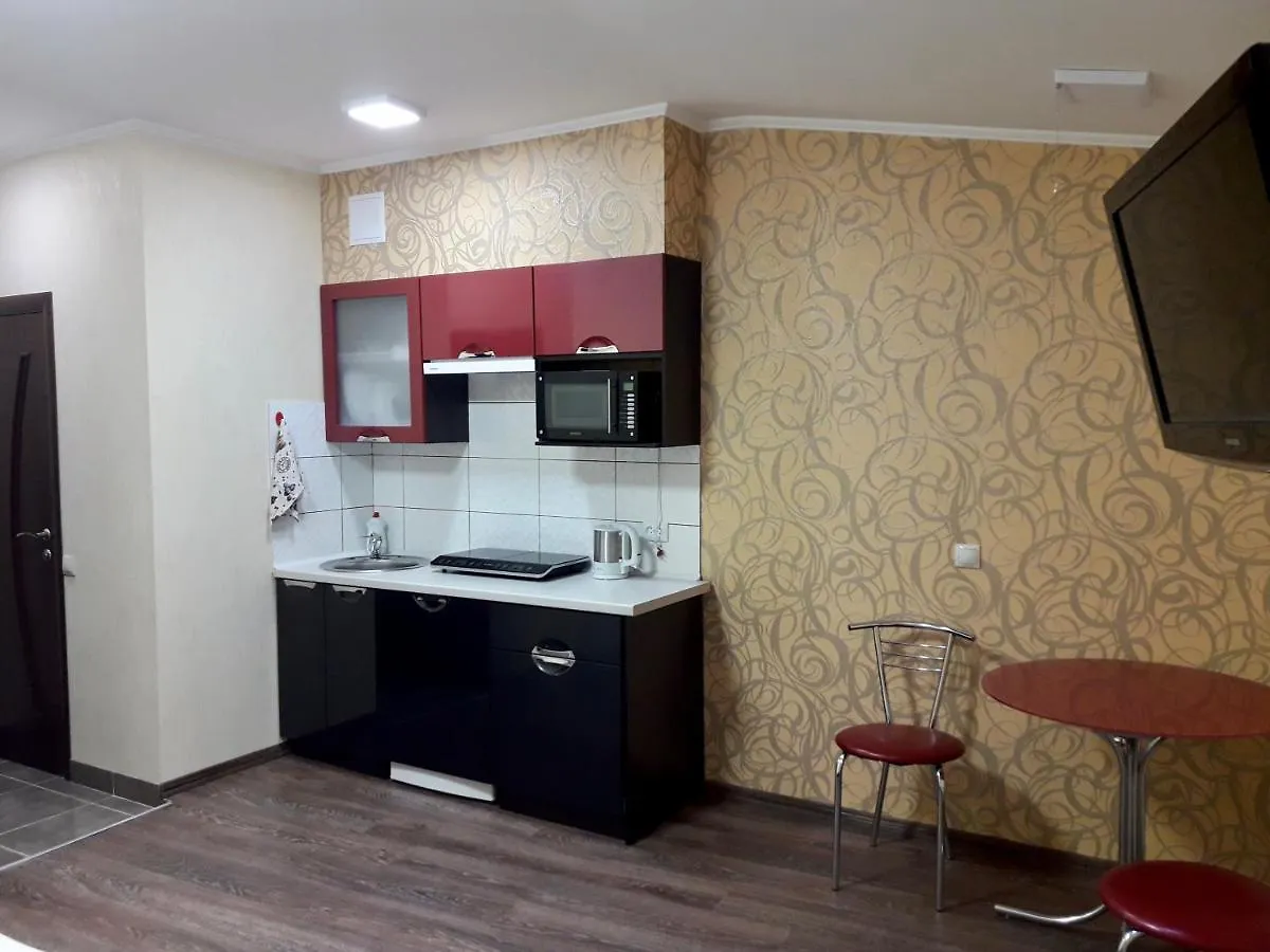 Studio Apartment: Central Station Vicinity on Horodotska Street Lviv Apartment